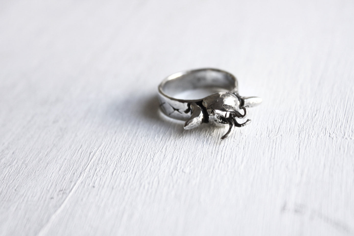 Rodi Ring Silver