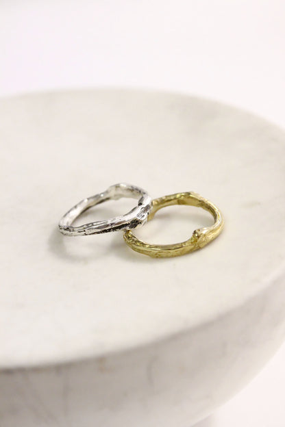 Two rings, one silver and one gold