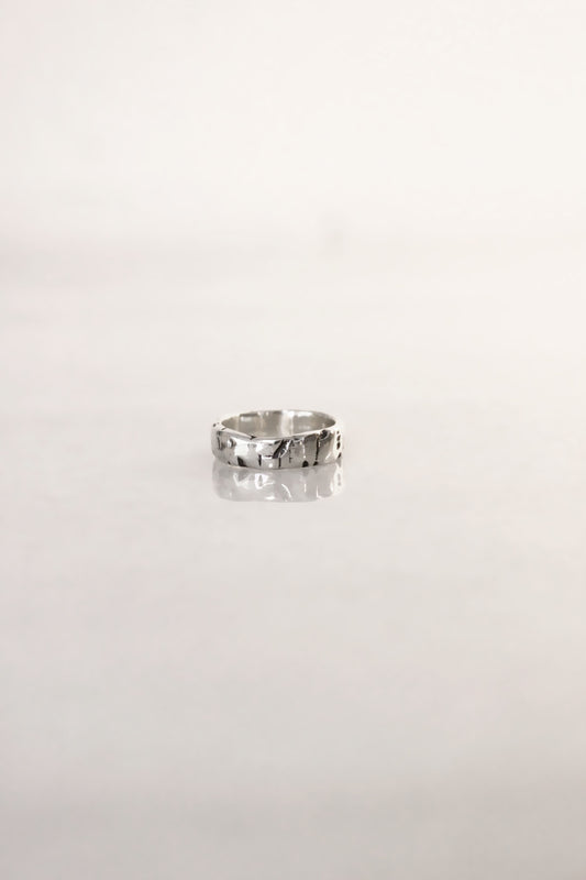 Dimi Ring Silver