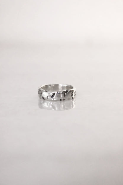 Dimi Ring Silver