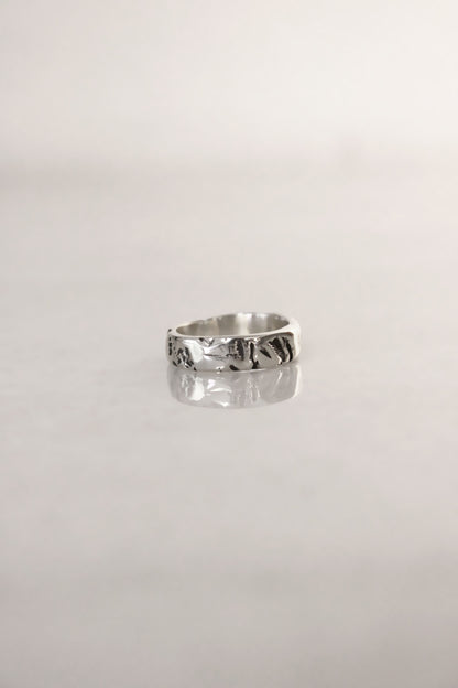 Dimi Ring Silver