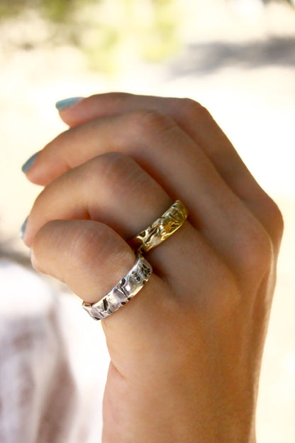 Dimi Ring Silver