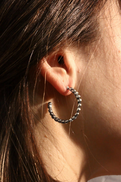 Roy Earrings Silver