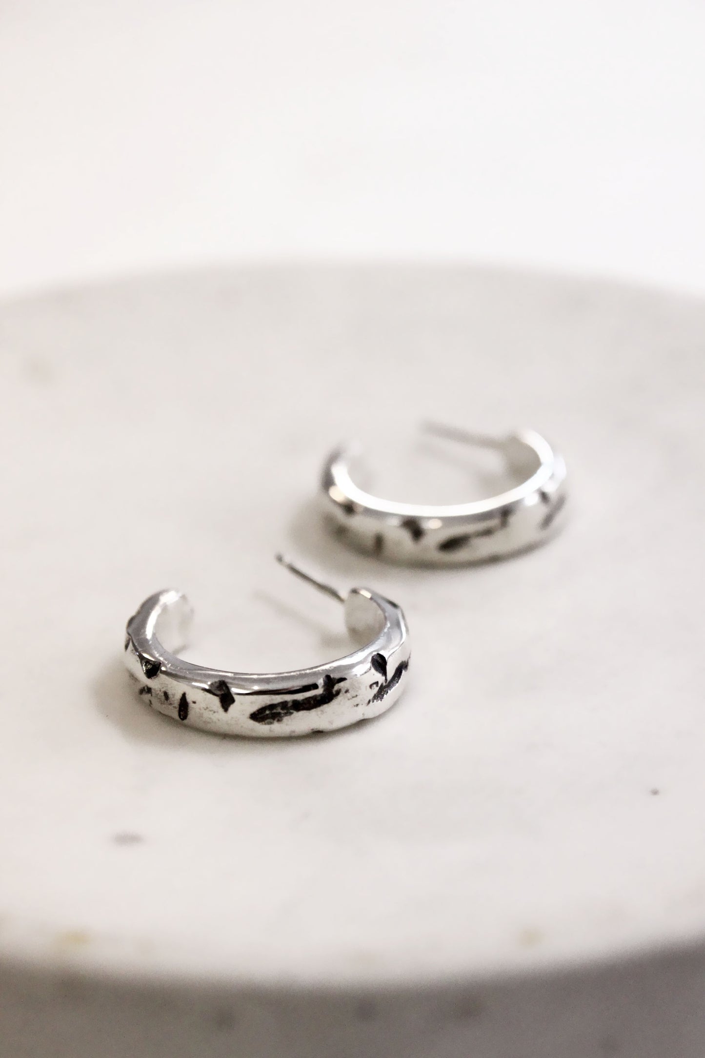 Francis Earrings Silver