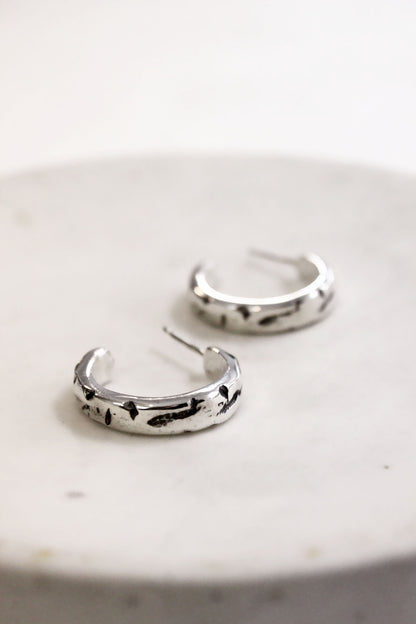 Francis Earrings Silver