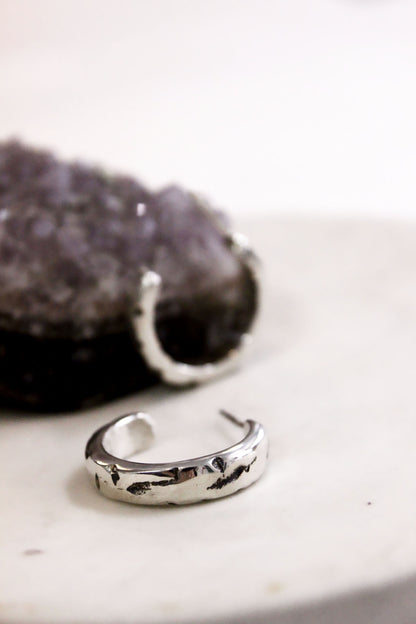 Francis Earrings Silver