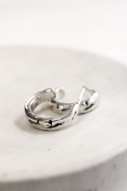 Francis Earrings Silver