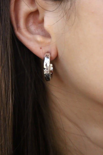 Francis Earrings Silver