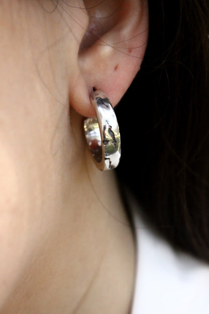 Francis Earrings Silver