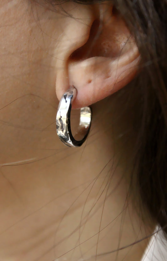 Francis Earrings Silver
