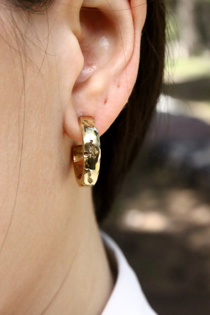 Francis Earrings Gold