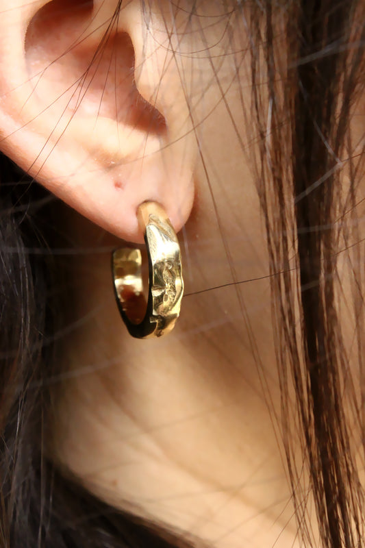 Francis Earrings Gold