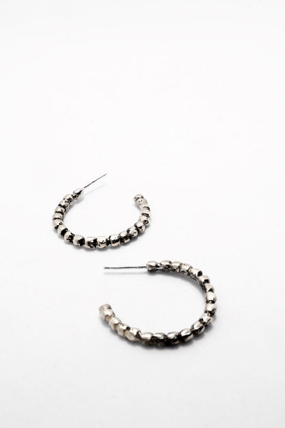 Roy Earrings Silver
