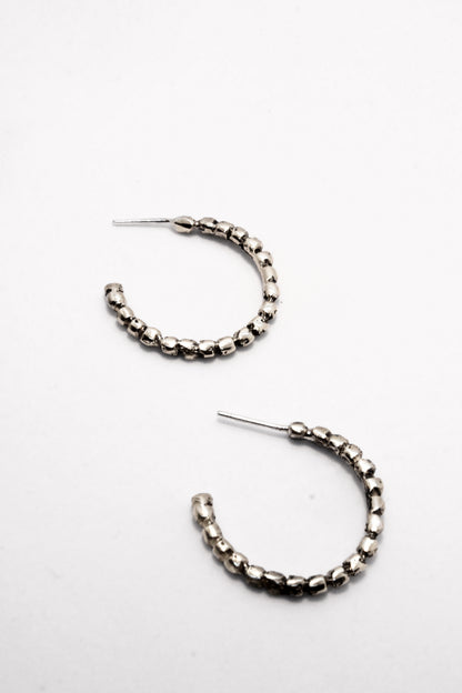 Roy Earrings Silver