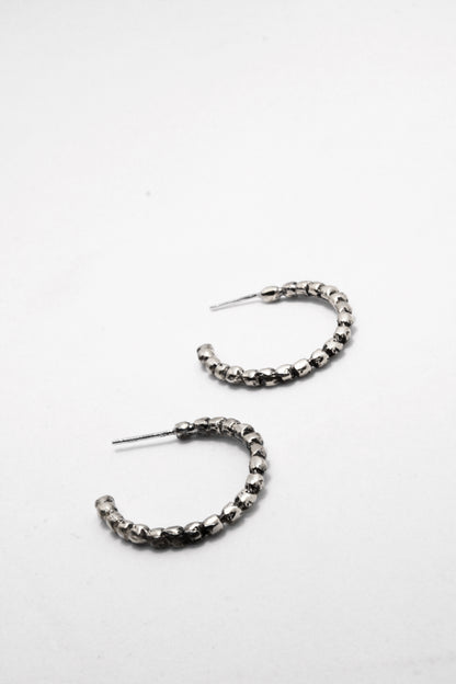 Roy Earrings Silver